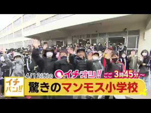 【公式】4月12日（水）イチオシ！！番組予告
