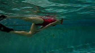 Sofia hublitz swimsuit