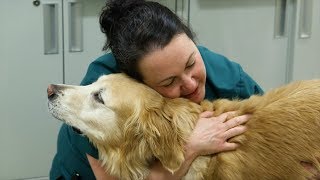 One Cure: Growing Hope @csuvetmedbioscience