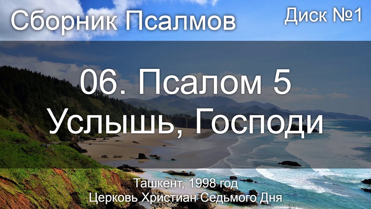 5 вижу 5 слышу