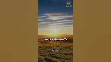ايه الكرسي - اللَّهُ لَا إِلَٰهَ إِلَّا هُوَ الْحَيُّ الْقَيُّومُ ۚ | القارئ عمر الشلي