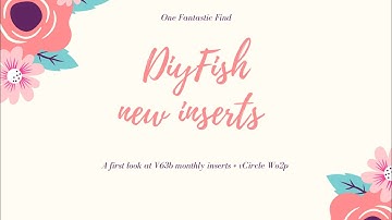 New Diyfish inserts and how I’m planning
