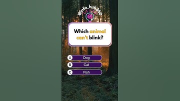 Part 2 | General Knowledge Quiz - Comments how many did you get? 🧠💡👍🏻 #quiz #info_hub360