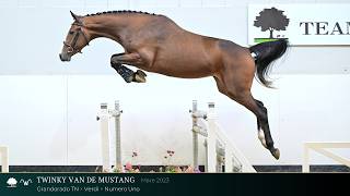 17 Twinky van de Mustang (Grandorado TN x Verdi) mare, 2023 - TN x WS 2026