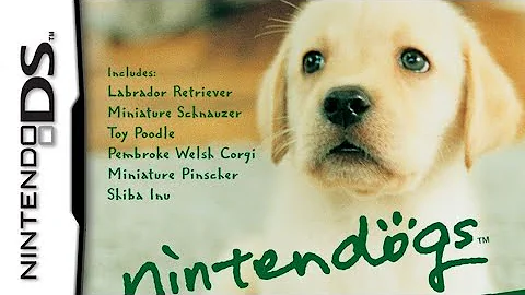 CHECKING ON MY NINTENDOGS DS 2024 !!!  #nintendogs #nintendodslite #blackdragongamez