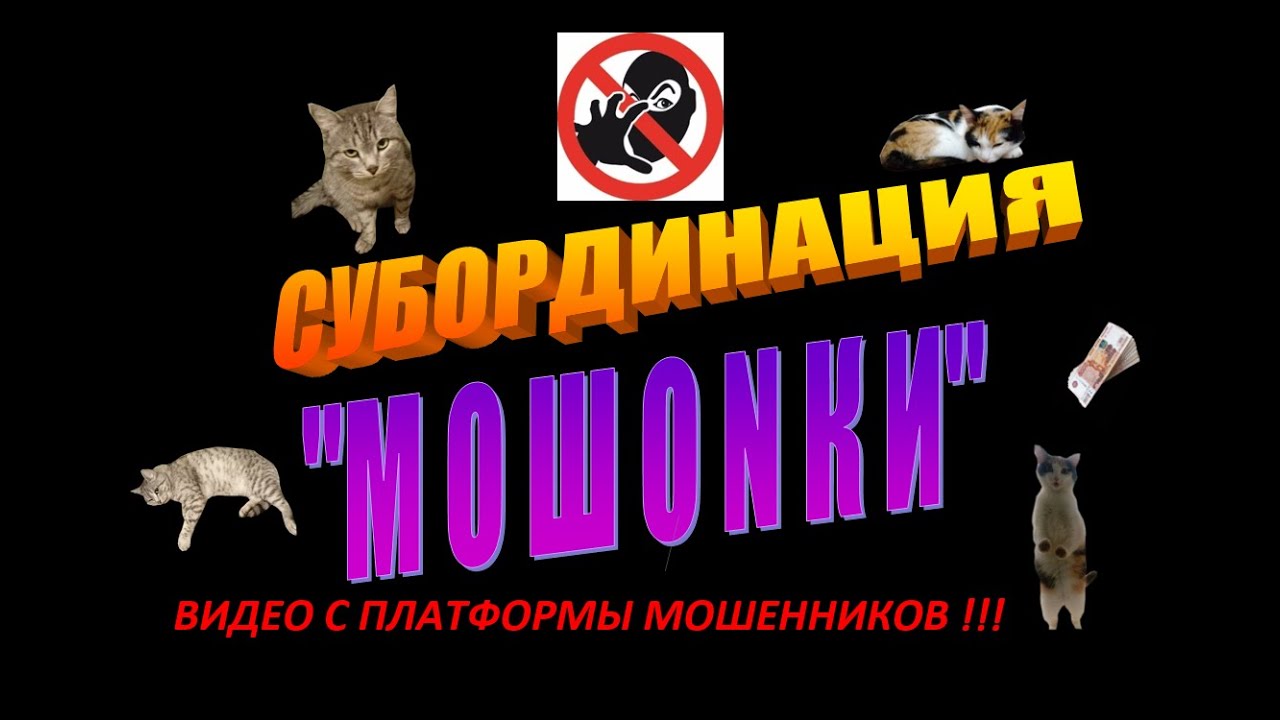 Платформа мошенники