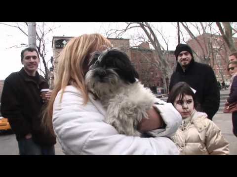 I Love NYC Pets Month Spay Day (February 19, 2011)