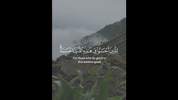 {إِنَّما يُوَفَّى الصّابِرونَ أَجرَهُم بِغَيرِ حِسابٍ } سورة/الزمر القارئ:ياسر الدوسري