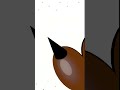 just a video #animation #memes