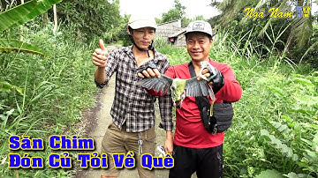 Săn Bắt Chim Đón Củ Tỏi Về Lenin Hạ Cu Xanh Đầy Bất Ngờ, Chim Khìa Nước Dừa Gà Nấu Cháo/NGÃ NĂM TV