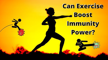Exercise And Immune System - Effect Of Exercise On Our Immune System- Can Exercise Boost Immunity
