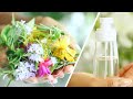 DIY FLORAL WATERS & HYDROSOLS | Turn Plants Into Beauty Sprays