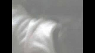 Tertawa Itu Sehat.3gp