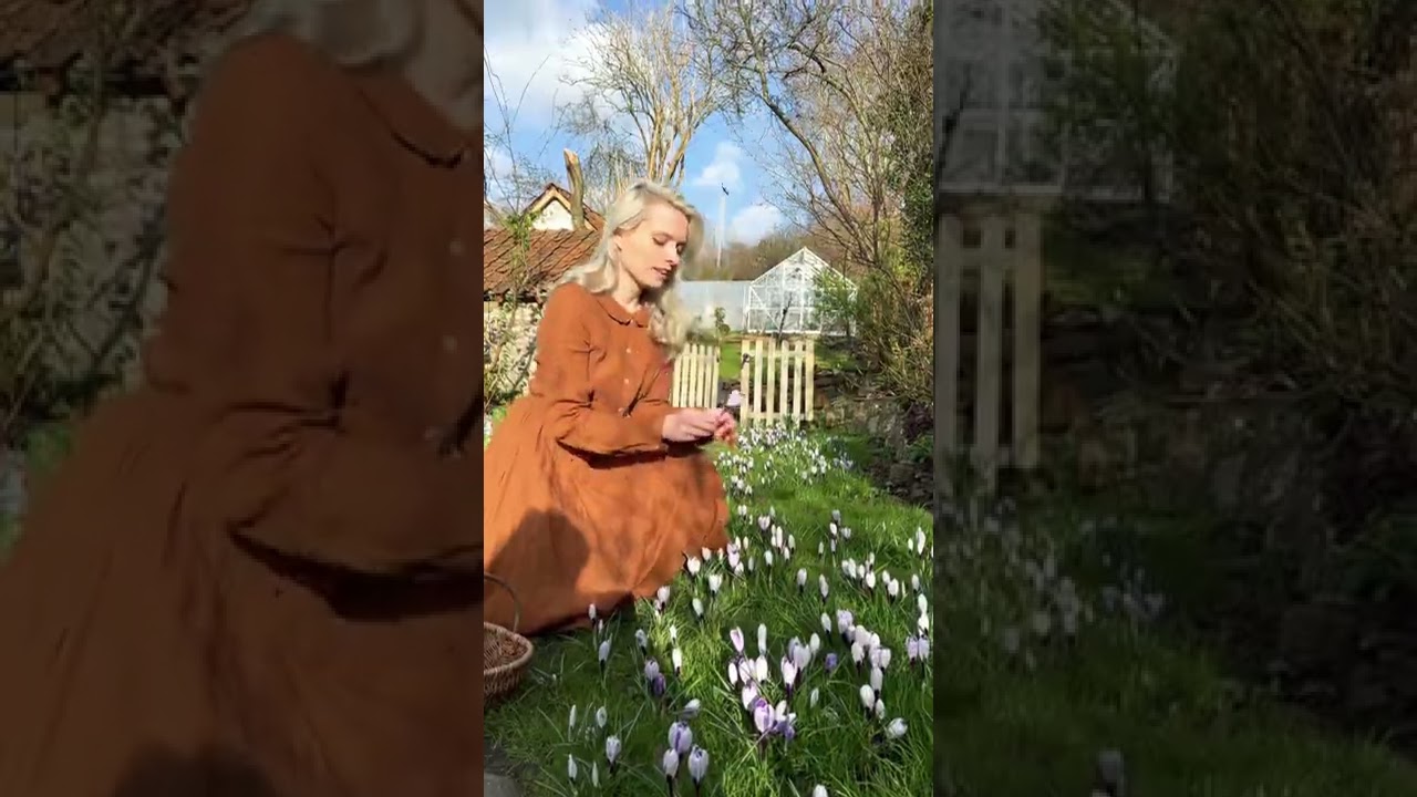 Why I planted 800 crocus bulbs in autumn 💜🍃 