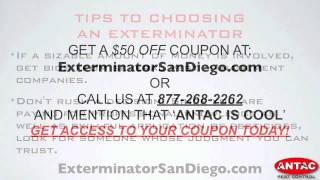 Exterminator San Diego - Antac Pest Control