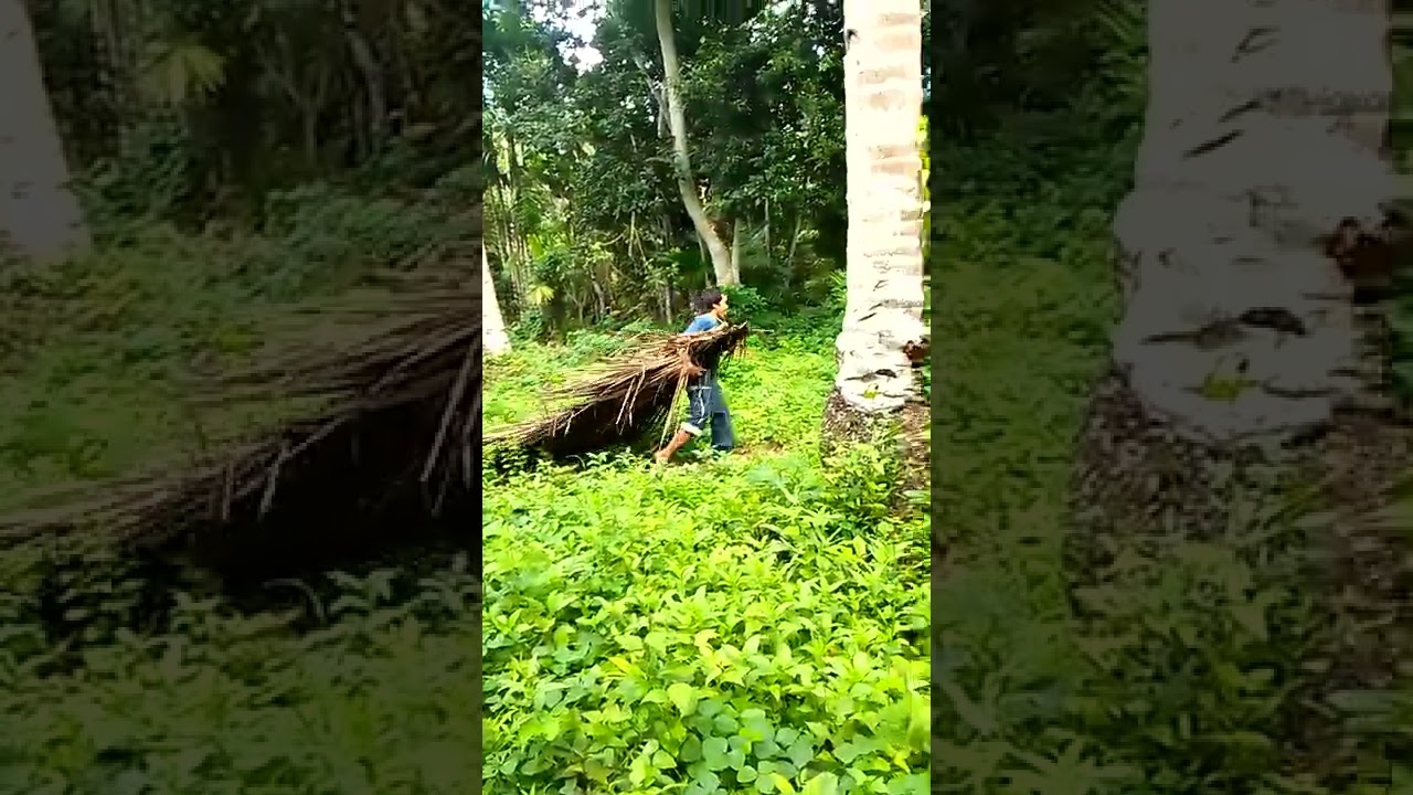 tumakbo Po ako sa pusukan honey 🐝