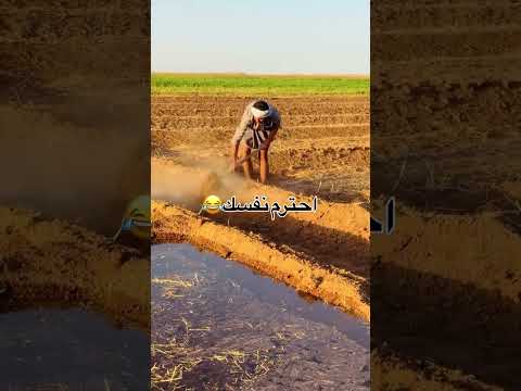 والله لو ما عليه دين فلا تكدر لا انت والا ابوك يجيبني لهالشغل ضحك    ترند