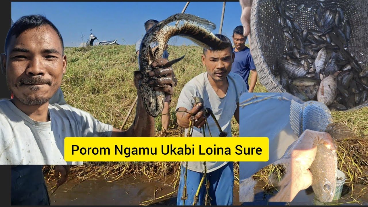 Porom Su Fajna Chaore Ngamu Ukabisu Kg 5 Fare 🐟 🐠 