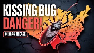 This Bug’s Bite Could Change Your Life Forever!