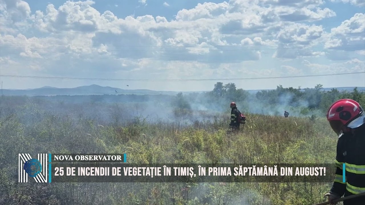 25 de incendii de vegetație în Timiș, în prima săptămână din august! 25 de incendii de vegetație în Timiș, în prima săptămână din august!