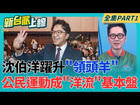 沈伯洋肥皂箱開講活動前1小時才通知!"洋流"照樣擠爆現場 專訪沈伯洋被藍營怒嗆 王偉忠首吐心聲:我只是做了一場訪問｜李正皓 主持｜【新台派上線 PART1】20260924｜三立新聞台