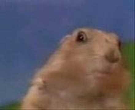 Dramatic Chipmunk