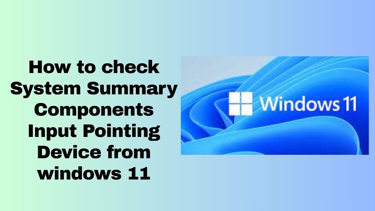 How to check System Summary Components Input Pointing Device from windows 11