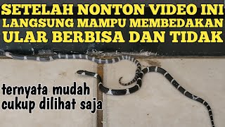 8 differences between venomous and non-venomous snakes
