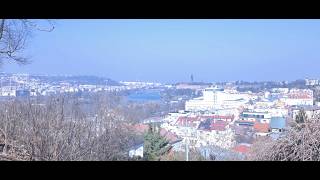 A Sunny Day in Prague | Shopping | Blue Berry Cake | Punch Needle - Hobby