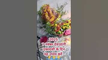 2025 1 नवंबर देवउठनी एकादशी के दिन यह उपाय करें। #pradeepmishrajidhankeupay