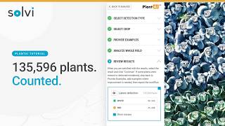 How to Count Plants from Drone Imagery with AI (PlantAI Tutorial)