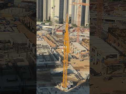 2026년 6월 5일