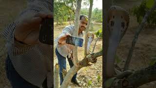 Celebrity Selfie with snake 🐍#funny #lol #memes Profile