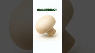 Шампиньоны. Изучаем съедобные грибы. Видео для детей. #длядетей #учимрусский #раннееразвитие