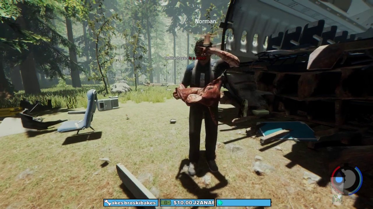 THE ANIMALS LOVE ME (Stream Highlights)