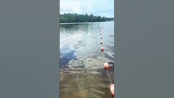 Viral sound #trending #comedy #viralvideo #funny #foryou #love #like #viralshorts #faceless #ugc