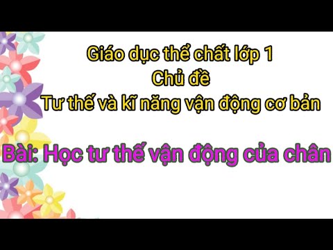 Video: Texas có tiêu chuẩn cho giáo dục thể chất không?