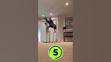 Equalizer parallel bar calisthenics