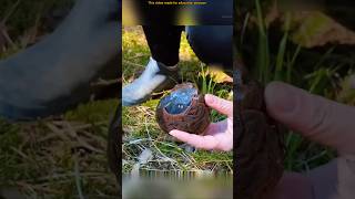 Drinkable Mushroom Found in Europe #shorts
