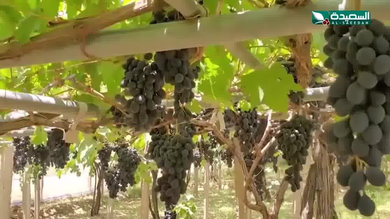 سد مختان في بني حشيش.. متنفس جميل لزائريه