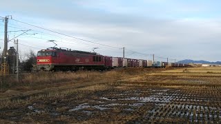 【2019/12/19･羽越線を走る貨物列車】3098ﾚ(札幌タ→福岡タ)