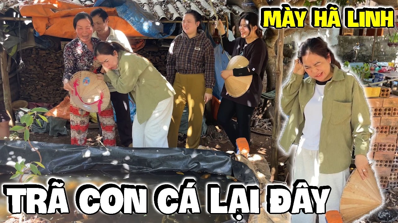 Linh Ế Lén Bắt Trộm Cá Chép Của Dì Hương Cúng Ông Táo Về Trời | Anh Ba Báo