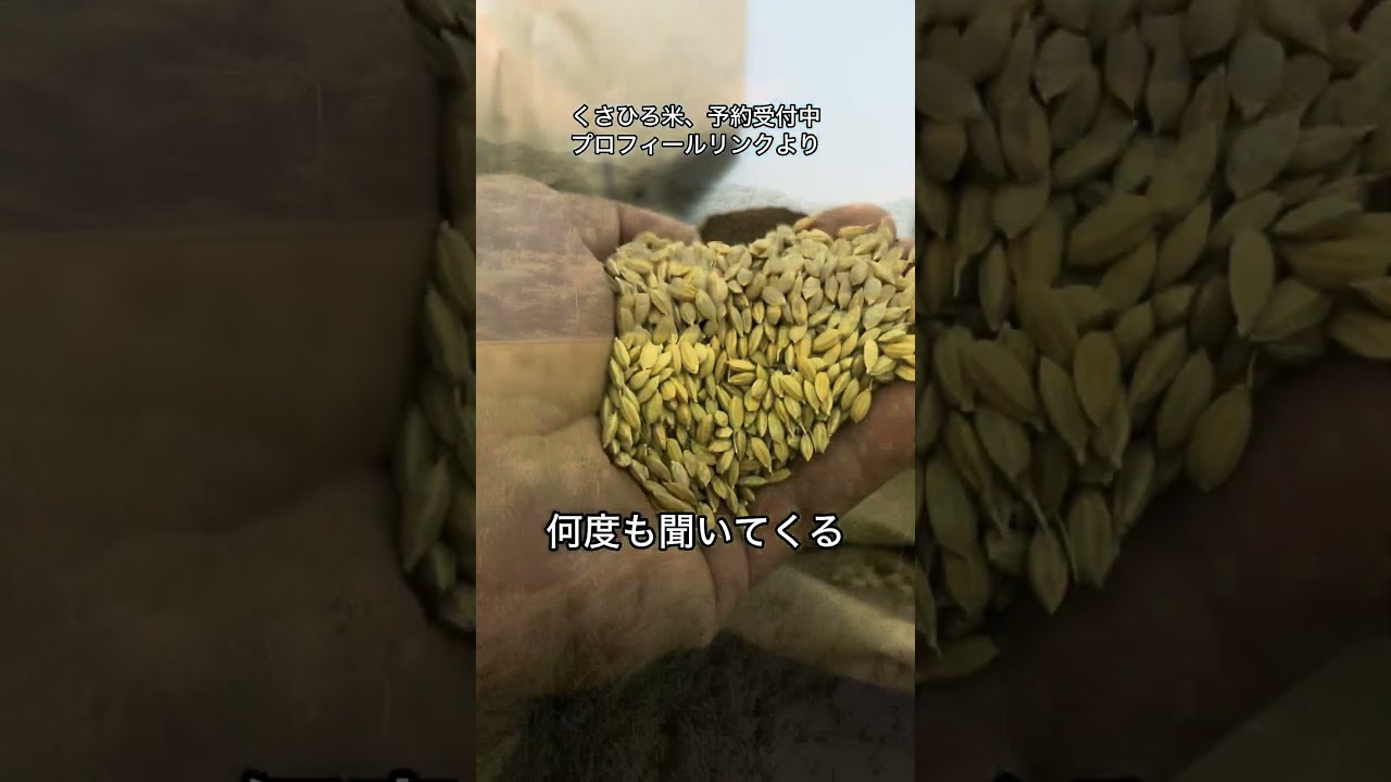 The person who was best at rice cultivation and the person who was 