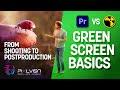 Green screen and chroma keying – basics you need to know | Premiere Pro vs. Nuke | PIXL VISN