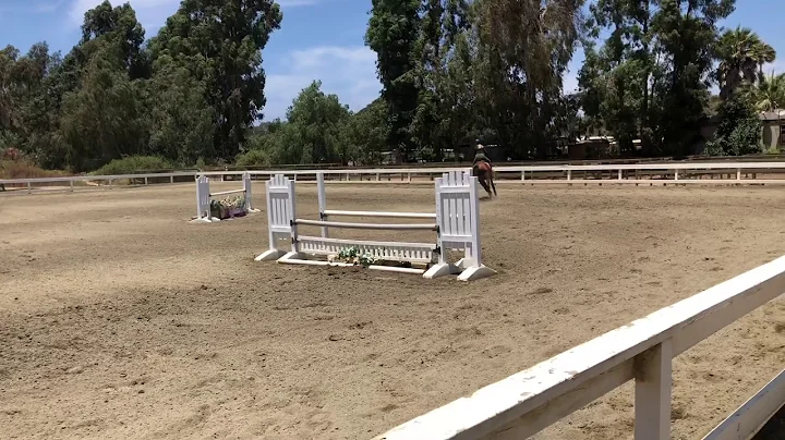 Training at Home- Kate Zimmer