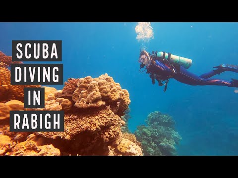 Scuba Diving Saudi Arabia - Rabigh Beach dive!