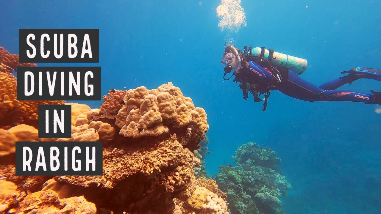 Scuba Diving Saudi Arabia Rabigh Beach dive! YouTube
