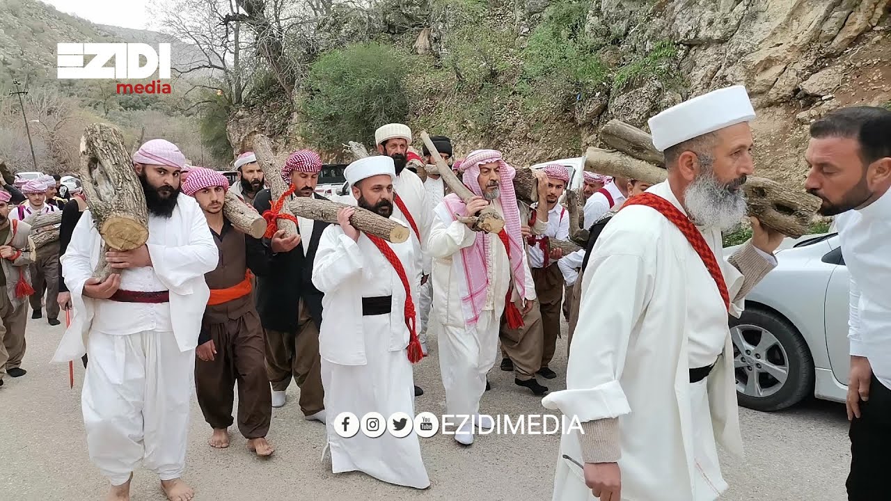 سماحة الباباشيخ يشارك في مراسيم نقل جذوع الاشجار   ( قولكيشان ) في لالش