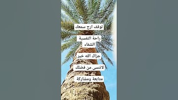 #القرآن_الكريم سورة طه  ربي اشرح لي صدري #ouargla #الجزائر #algeria #الصحراء #الشيخ القرآن الكريم