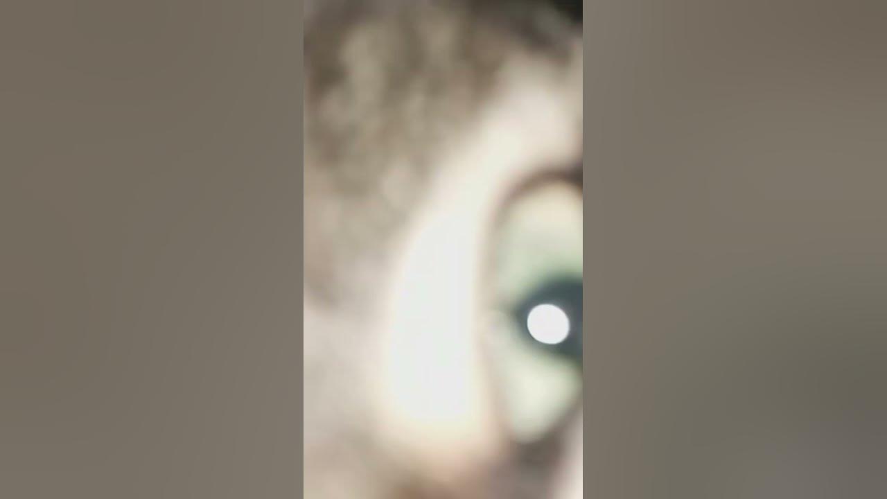 Heard Something Under my bed, Took a look then this Happened!👀😲🥺fyp 